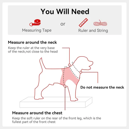 Vista 70 de Joytale Arnés para Perros Pequeños, Chaleco de Malla Transpirable Step-in, Arneses Acolchados Suaves Reflectantes para Gatos y Perros Cachorros