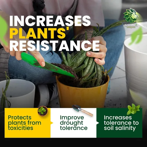Vista 4 de GreenGro Granular Plus Myco, fertilizante todo en uno con algas y ácido húmico para plantas, estimulador orgánico de raíces para plantas