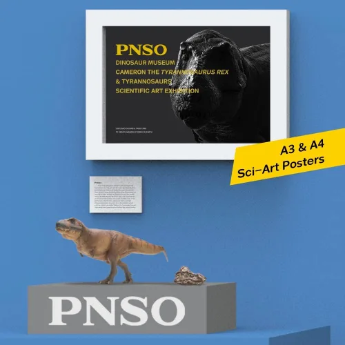 Vista 5 de Serie de Museos de Dinosaurios PNSO: Cameron el Tiranosaurio Rex T. Rex Exhibit Set de 13.8" - Modelo de fósil de calavera - Mandíbula de apertura