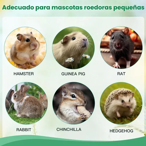 Vista 7 de Jorewood Palitos masticables de madera de manzana natural de 1 libra (16 onzas) para conejos, hámsters, chinchillas, juguete para moler dientes