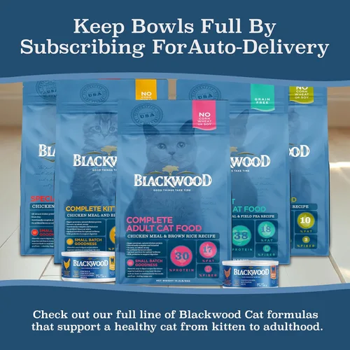 Vista 8 de Blackwood Alimento seco para gatos, fórmula para adultos, receta de harina de pollo y arroz integral, bolsa de 4 libras, alta en proteínas, cocción