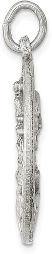 Vista 2 de Collar de plata de ley 925 con dije de medalla de Nuestra Señora del Santo Escapular joyería fina para mujer regalos para ella