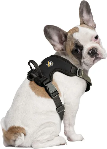 Vista 2 de Littlearth NHL Unisex-Adult NHL Front Clip Pet Harness