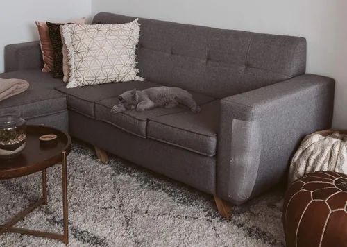Vista 5 de LAMINET Los protectores originales de arañazos para gatos de lujo, protege tus muebles con nuestros protectores contra arañazos para muebles de alta
