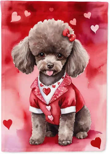 Vista 10 de Caroline's Treasures DAC5252GF Affenpinscher - Bandera de jardín con texto en inglés "My Valentine", bandera decorativa para patio exterior, patio