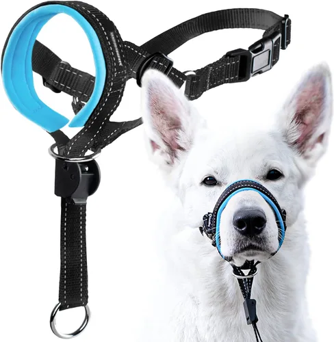 Vista 12 de GoodBoy Cabestro de cabeza de perro con correa de seguridad – Detiene los tirones pesados de la correa – Collar acolchado para perros pequeños