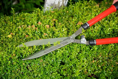 Vista 6 de Corona Tools Tijeras extensibles para setos de 10 ″ - Recortadora telescópica de jardín para setos, arbustos y paisajismo