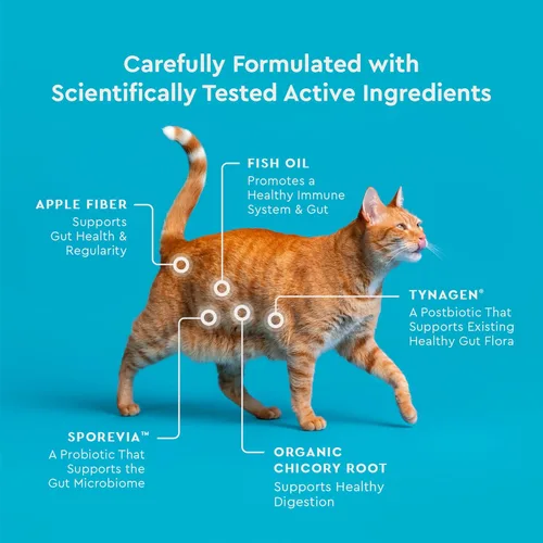 Vista 6 de VetIQ Suplemento de probióticos para gatos: probióticos, prebióticos y postbióticos para gatos, apoyo para la salud digestiva e intestinal, alivio