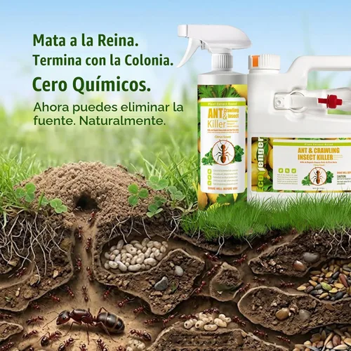 Vista 6 de EcoRaider insecticida y hormiguicida (aroma de cítricos) de 16 oz, natural y no tóxico