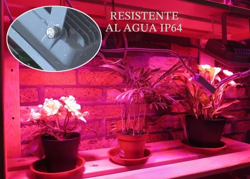 Vista 6 de ACKE Luces LED de Crecimiento de Espectro Completo, Luces de Plantas, Lámparas de Cultivo 12W para Plantas de Interior, Hidropónica