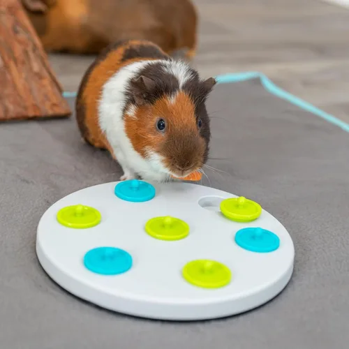 Vista 7 de Trixie juguete logístico, tablero de bocadillos para conejos, conejillos de indias, y otras mascotas pequeñas