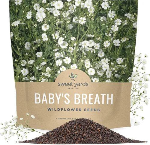 Vista 10 de Semillas de Gypsophila elegans de Baby's Breath vistosas – Bolsa a granel de un cuarto de libra – Más de 80.000 semillas de flores silvestres