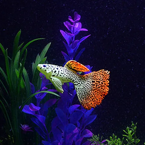 Vista 9 de GLOGLOW Peces luminosos, peces artificiales - 4 piezas para oficina, hogar, jardín acuario
