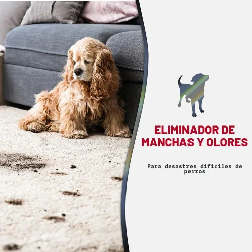 Vista 3 de Nature's Miracle Eliminador Avanzado de Manchas y Olores, Aroma a Limón Soleado, Fórmula Enzimática para Desórdenes Severos para Desastres Difíciles