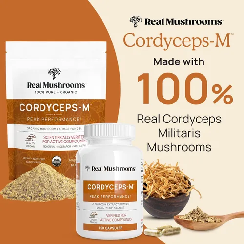 Vista 2 de Real Mushrooms Paquete de apoyo para el cerebro, la vitalidad y el sistema inmunológico: cápsulas de cognición de melena de león (120 cápsulas) +