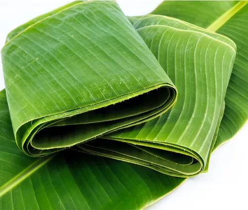 Vista 5 de Rani Fresh Banana (Kela) Hojas de aproximadamente 16 oz (454 g) 1 libra ~ Todo natural Vegano Apto para gluten Sin OMG Producto de Estados
