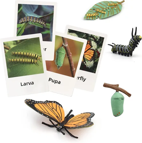 Vista 9 de Figuras del Ciclo de Vida de Animales Montessori con Tarjetas Flash, Juguetes de Figuritas de Animales Realistas, Juego Educativo de Emparejamiento