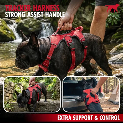 Vista 5 de Tuff Pupper Arnés para perro sin escape a prueba de escape, arnés ajustable de 5 puntos para perros, arneses acolchados para perros, arneses