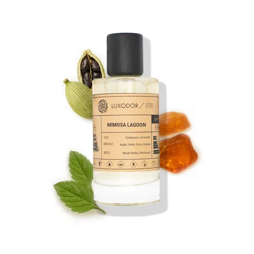Vista 15 de Inspirado en S.antal 33 Eau De Parfum Perfume de madera de sándalo y madera, 3.4 fl oz (3.4 fl oz) con aceite concentrado, Perfume unisex S.antal