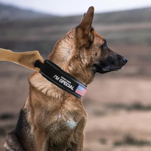 Vista 2 de Collar táctico de 2.5 pulgadas para perros medianos, collar de perro ajustable de nailon militar resistente con costuras reflectantes y mango