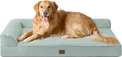Vista 42 de EHEYCIGA - Cama ortopédica para perros de tamaño mediano, cama de espuma viscoelástica para perros, color beige Small Dog Sofa with Washable