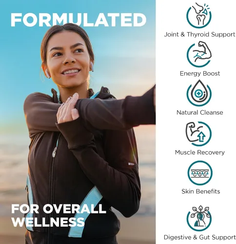 Vista 5 de Nutrivein Cápsulas de musgo marino premium y paquete de suplemento de resveratrol: cápsulas de resveratrol de alta absorción y musgo marino irlandés