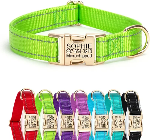 Vista 24 de Collar de perro de nailon reflectante personalizado con etiqueta de nombre Collares de perro con hebilla dorada grabados personalizados Collar