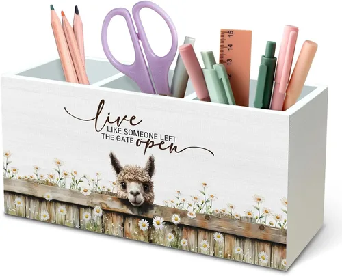 Vista 20 de DILSJ Organizador inspirador de 2 compartimentos para lápices, organizador para escritorio, amantes de los pollos regalos para mujeres, Live Like