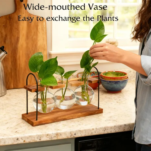 Vista 2 de Terrario para plantas con soporte de madera, el mejor regalo para los amantes de las plantas, estación de propagación con bombillas de vidrio retro
