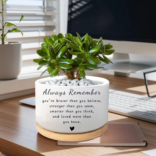 Vista 2 de Regalos inspiradores para mujeres, bonita maceta para suculentas, maceta de cactus para amantes de las plantas, regalo motivacional de animación