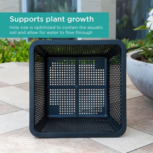 Vista 4 de TotalPond Cesta para plantas acuáticas, 10 pulgadas Paquete de 2