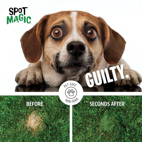 Vista 7 de Spot Magic por Mark & Phil's - Colorante en aerosol instantáneo verde para césped, 24 onzas, no tóxico, seguro para mascotas y niños, resultados