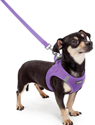 Vista 190 de rabbitgoo Arnés para perro de tamaño pequeño y juego de correa, chaleco Cachorros de manzana