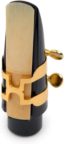 Vista 9 de Jean Paul USA AS-400GP - Saxofón alto para estudiantes PREMIUM Bundle