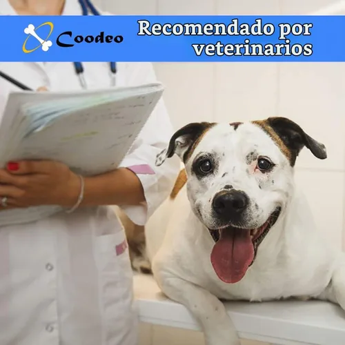 Vista 3 de Coodeo Arnés de elevación para perros, soporte y rehabilitación con correa ajustable acolchada y transpirable para perros ancianos, discapacitados