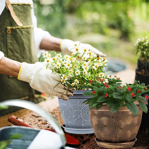 Vista 2 de Fodetyff Macetas de 6 Pulgadas para Plantas de Interior y Exterior, Juego de 6 Macetas Pequeñas de Plástico con Agujero de Drenaje y Bandeja, Maceta