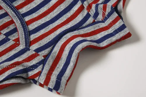 Vista 5 de Paquete múltiple de ropa interior suave de algodón para niños pequeños