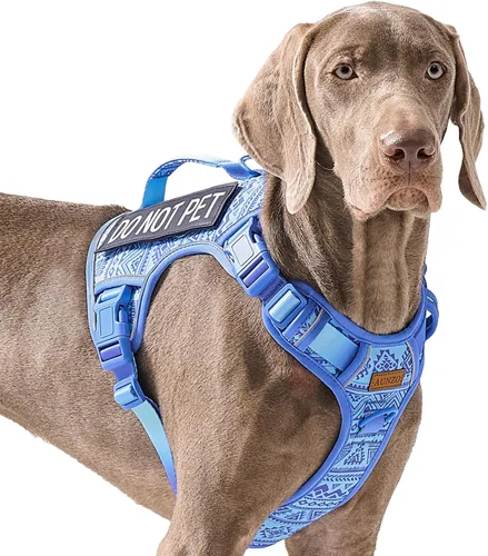 Vista 33 de Arnés para perro sin tirones para perros de tamaño pequeño, chaleco ajustable para caminar fácilmente, material Oxford transpirable, tiras Verde