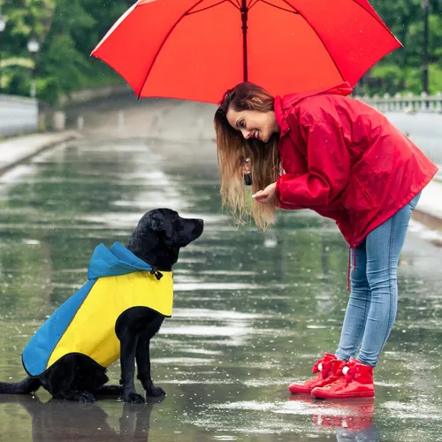 Vista 9 de Impermeable para perro, poncho impermeable con capucha, chaqueta reflectante de seguridad para perro, abrigo impermeable para perro, impermeable