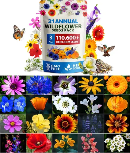 Vista 22 de HOME GROWN - 49 000 semillas de flores silvestres, mezcla a granel, 2 onzas, 21 variedades de mezcla de flores silvestres, para atraer abejas