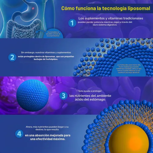 Vista 6 de Optimizado liposomal con vitamina C de 0.035 oz Vitamina C "Quali-C" (libre de china), la más alta absorción, fórmula física, soporte inmune, sin