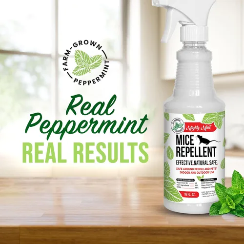 Vista 2 de Mighty Mint Peppermint Oil Mouse Repellent Spray, 16 oz Control natural en interiores y exteriores para ratones y roedores, fórmula extrafuerte a