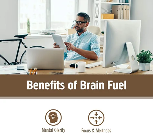 Vista 3 de OM MUSHROOM SUPERFOOD Brain Fuel - Cápsulas en polvo de hongos suplemento superalimentario, 90 unidades, 30 días, melena de león, mezcla de reishi