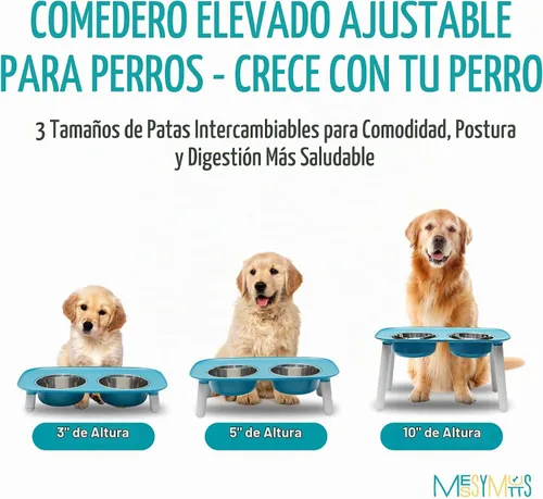 Vista 3 de Comedero elevado doble para perros, con recipientes extraíbles de acero inoxidable y patas ajustables (40 onzas / 5 tazas por recipiente), de Messy