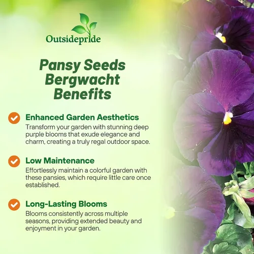 Vista 3 de Outsidepride Purple Bergwacht - Semillas de pensamiento de viola para plantar, 1,000 piezas. Flores resistentes al frío y aptas para polinizadores