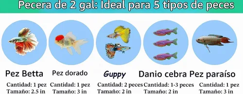 Vista 7 de Tanque de peces de vidrio de 2 galones, resistente y agradable pecera Betta, pequeños acuarios para pequeños peces ornamentales y reptiles, vidrio