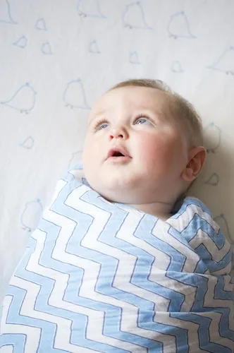 Vista 4 de SwaddleDesigns Marquisette - Manta de recepción envolvente para bebés niños y niñas, muselina de algodón premium suave, mejor regalo de baby shower