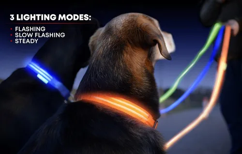Vista 3 de Collar para perros LED Illumiseen, recargable por USB, Anaranjado encendido