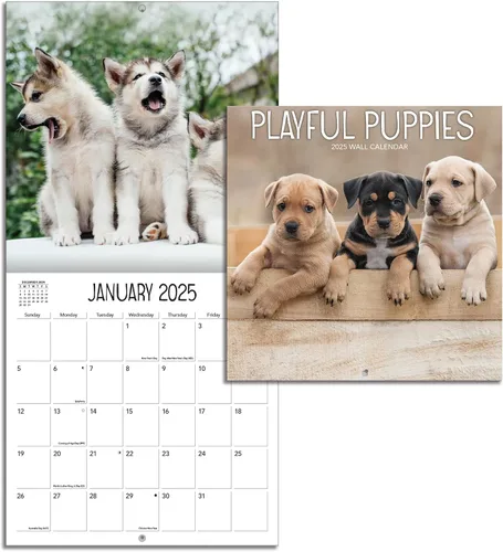 Vista 2 de Turner - Mini calendario fotográfico de pared de cachorros juguetones (25998950017)