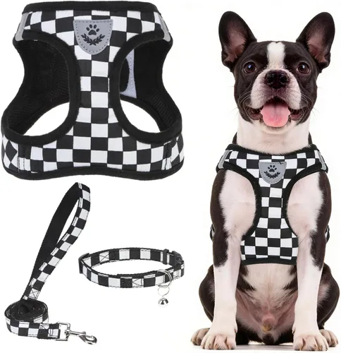 Vista 45 de PUPTECK - Arnés, collar y correa ajustables, sin tirones, para perros pequeños y medianos, cachorros y gatos, pechera reflectante acolchada de malla